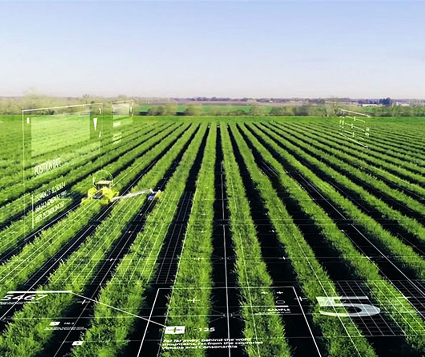 發(fā)展大品種中藥材種植。加強當(dāng)歸、黨參、黃芪等大品種中藥材種植規(guī)劃引導(dǎo)，以規(guī)模化、標(biāo)準(zhǔn)化、品牌化為方向